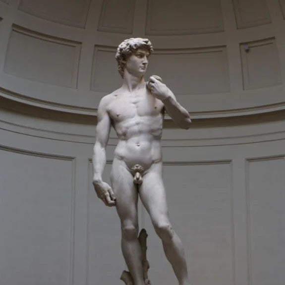 "D. MICHELANGELO"