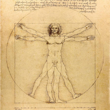 "DA VINCIS VITRUVIAN MAN"